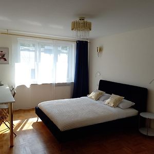 Studio met een King Size Bed
